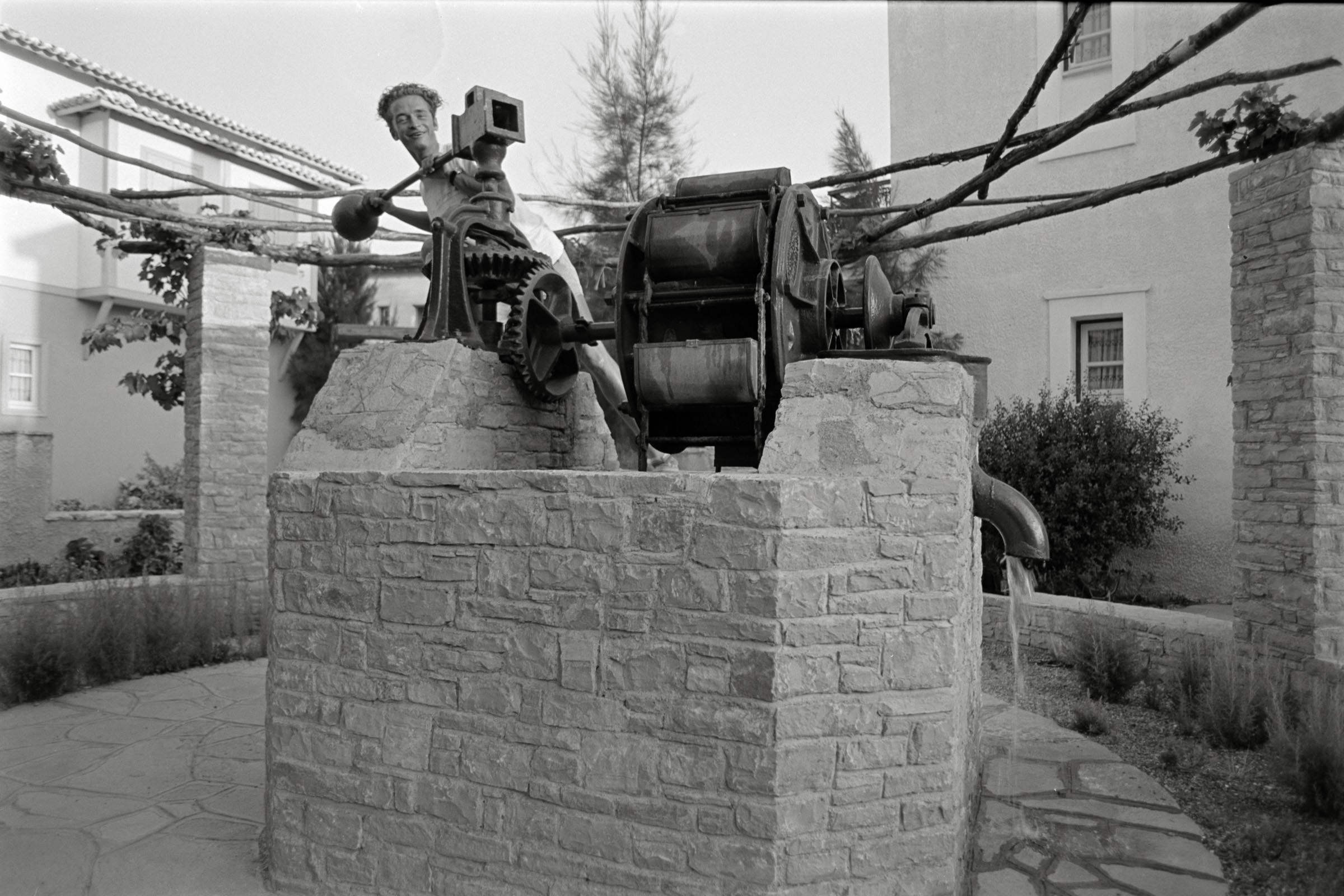 AHP F1991 09 003 sc240914 img31 NLP